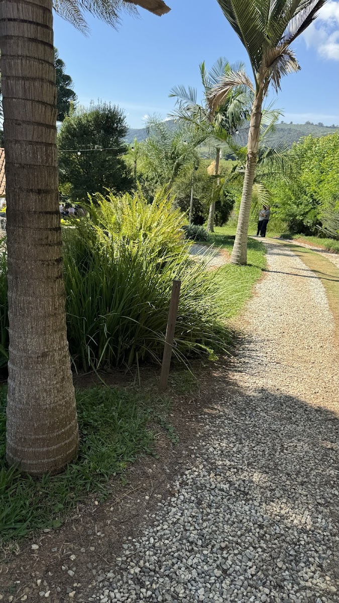 Rancho Santa Fé - Photo 3