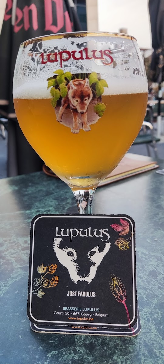 Café De Vriendschap - Photo 4