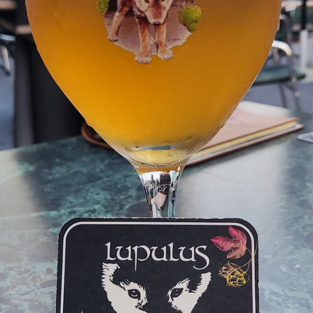 Lupulus Bier