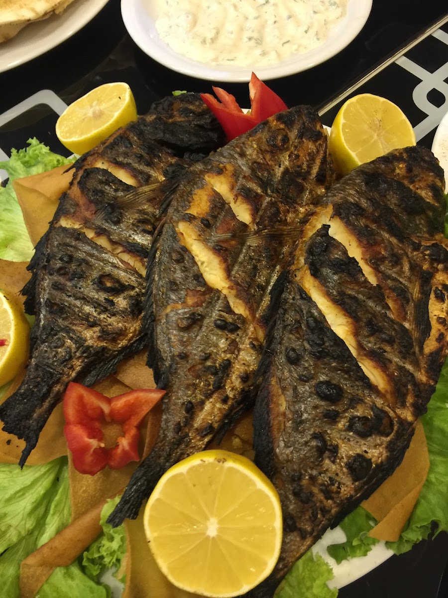 Aleppo Al Shahba Restaurant - Photo 1