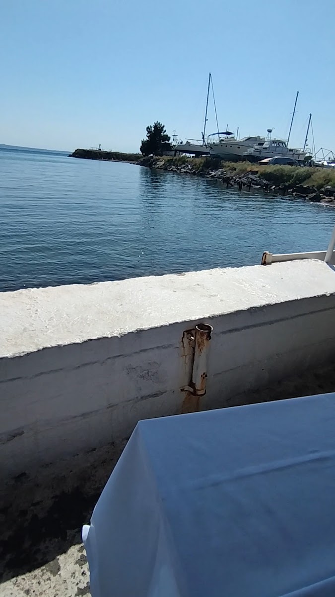 Gialos Fish & Seafood Tavern - Photo 1