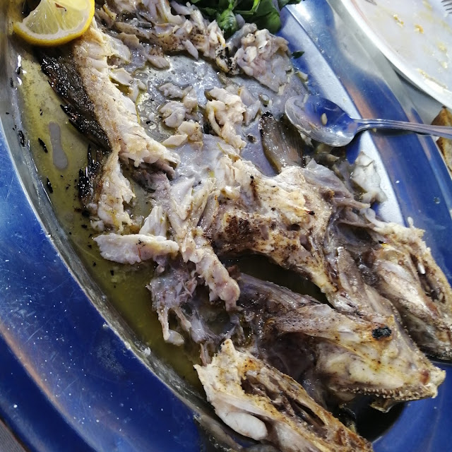 Συναγρίδα
