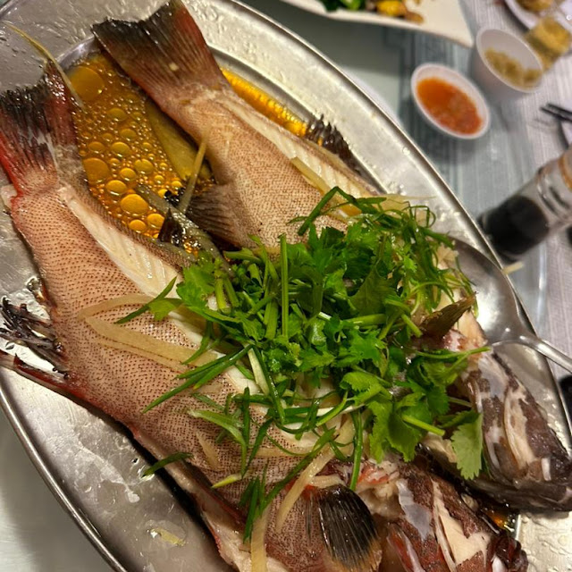 Teochew Style Sea Garoupa Fish He