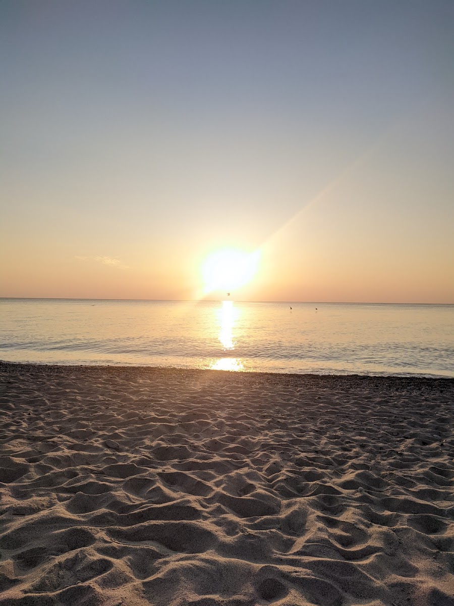 Loudest Karaoke on the beach - Photo 3