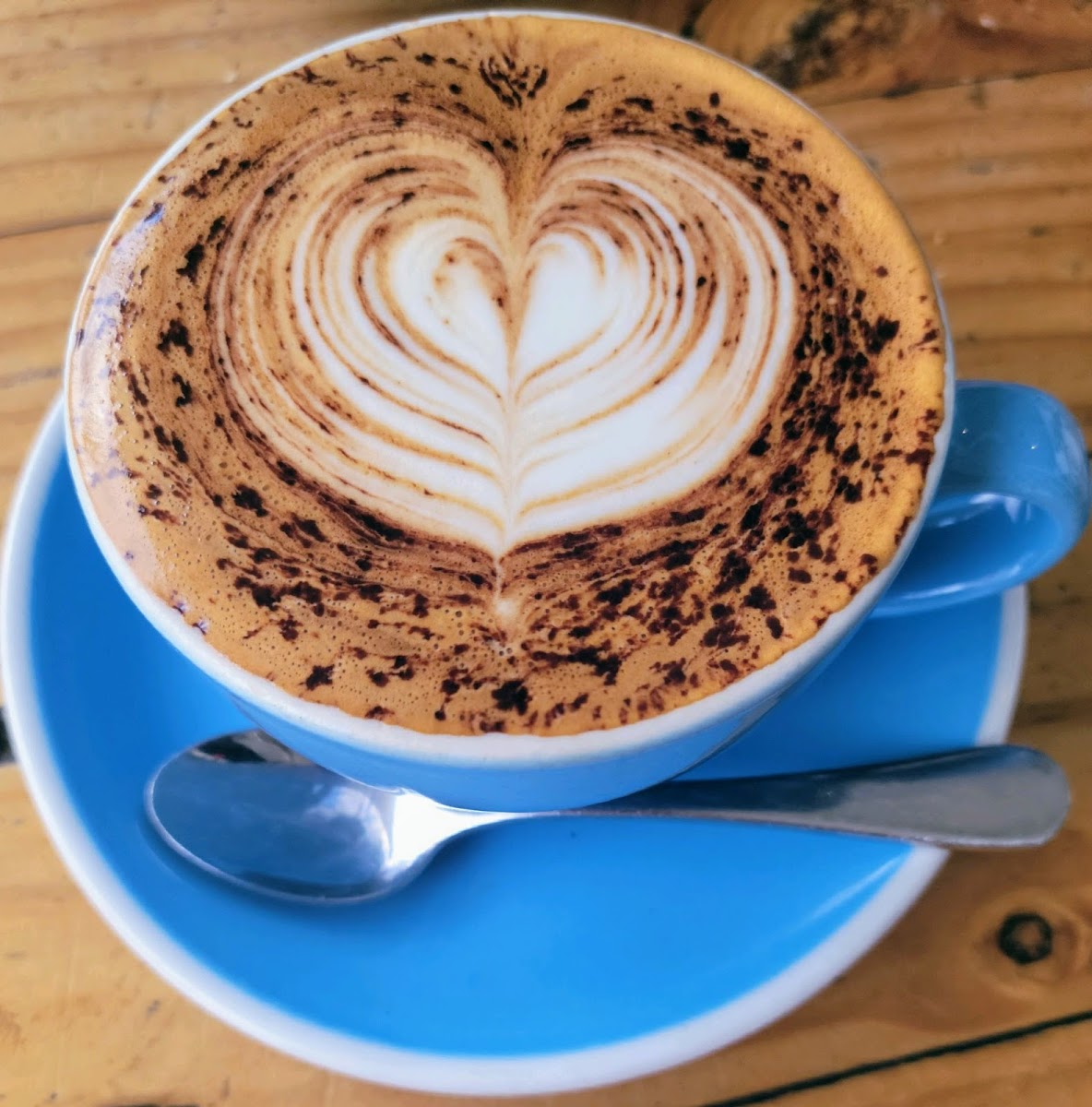 Domain & Ayr Cafe - Photo 5