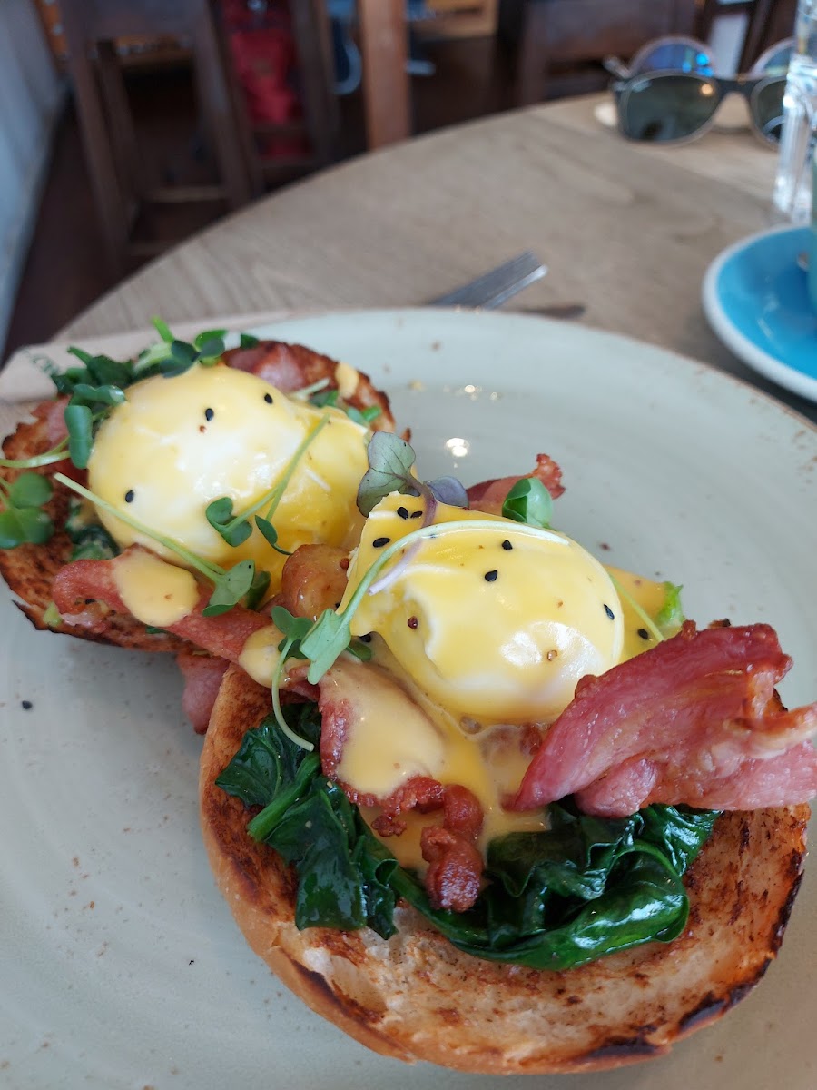 Domain & Ayr Cafe - Photo 6