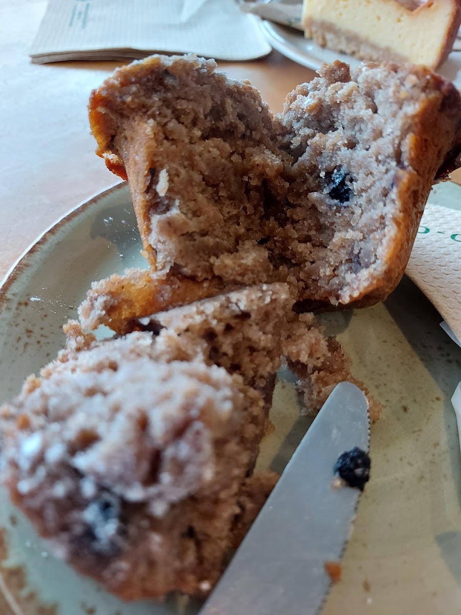 Domain & Ayr Cafe - Photo 8