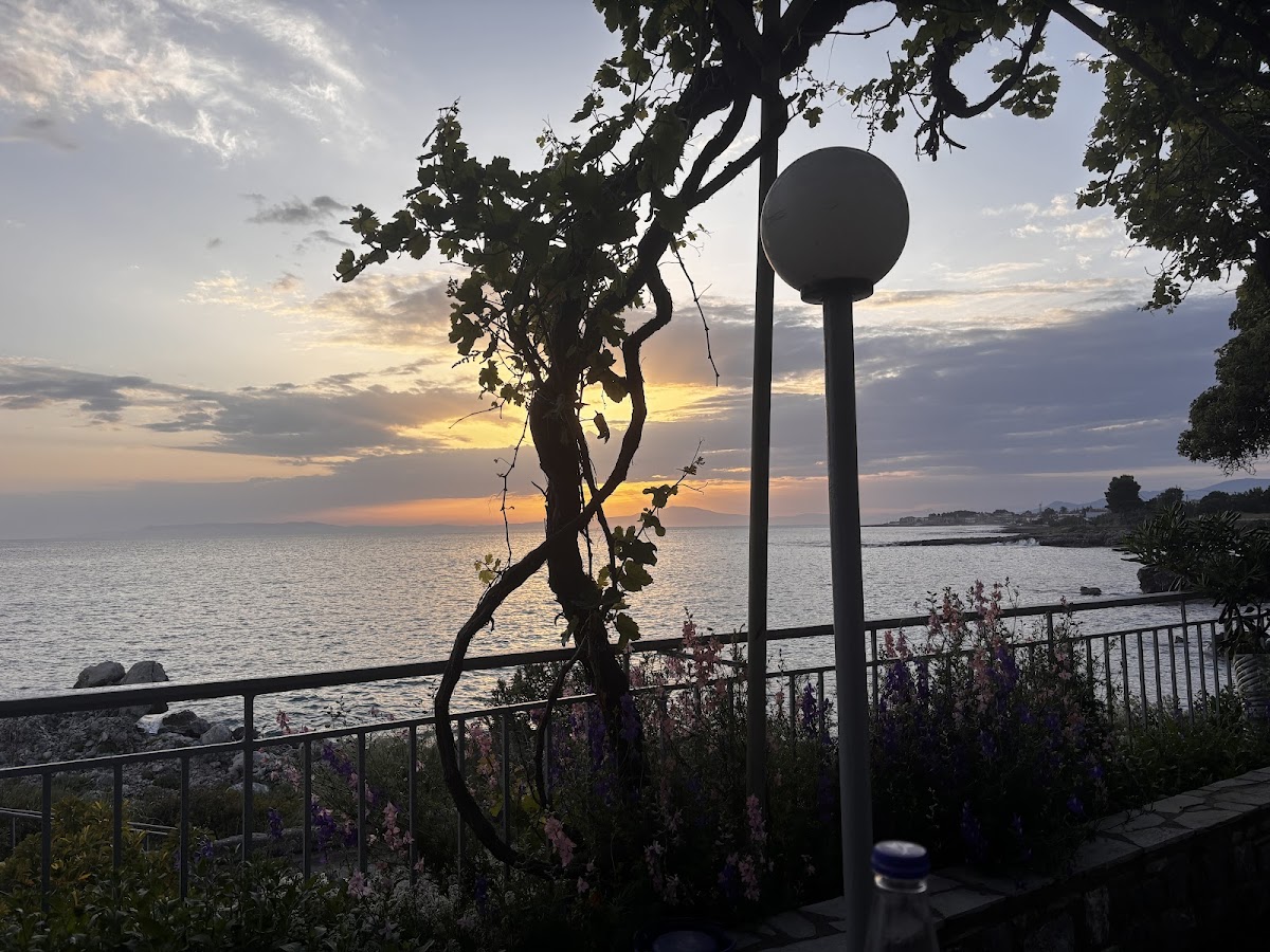 Voulimeneas Cafe Restaurant - Photo 3