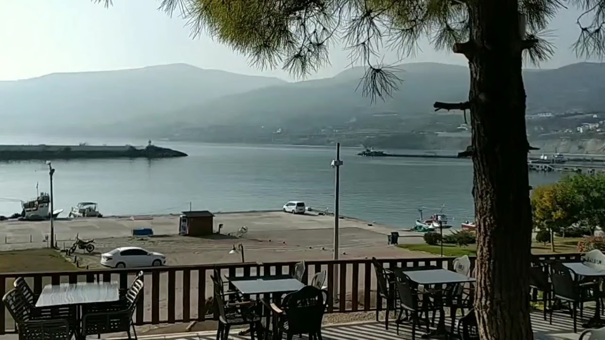 GERZE KALDI CAFE - Photo 1