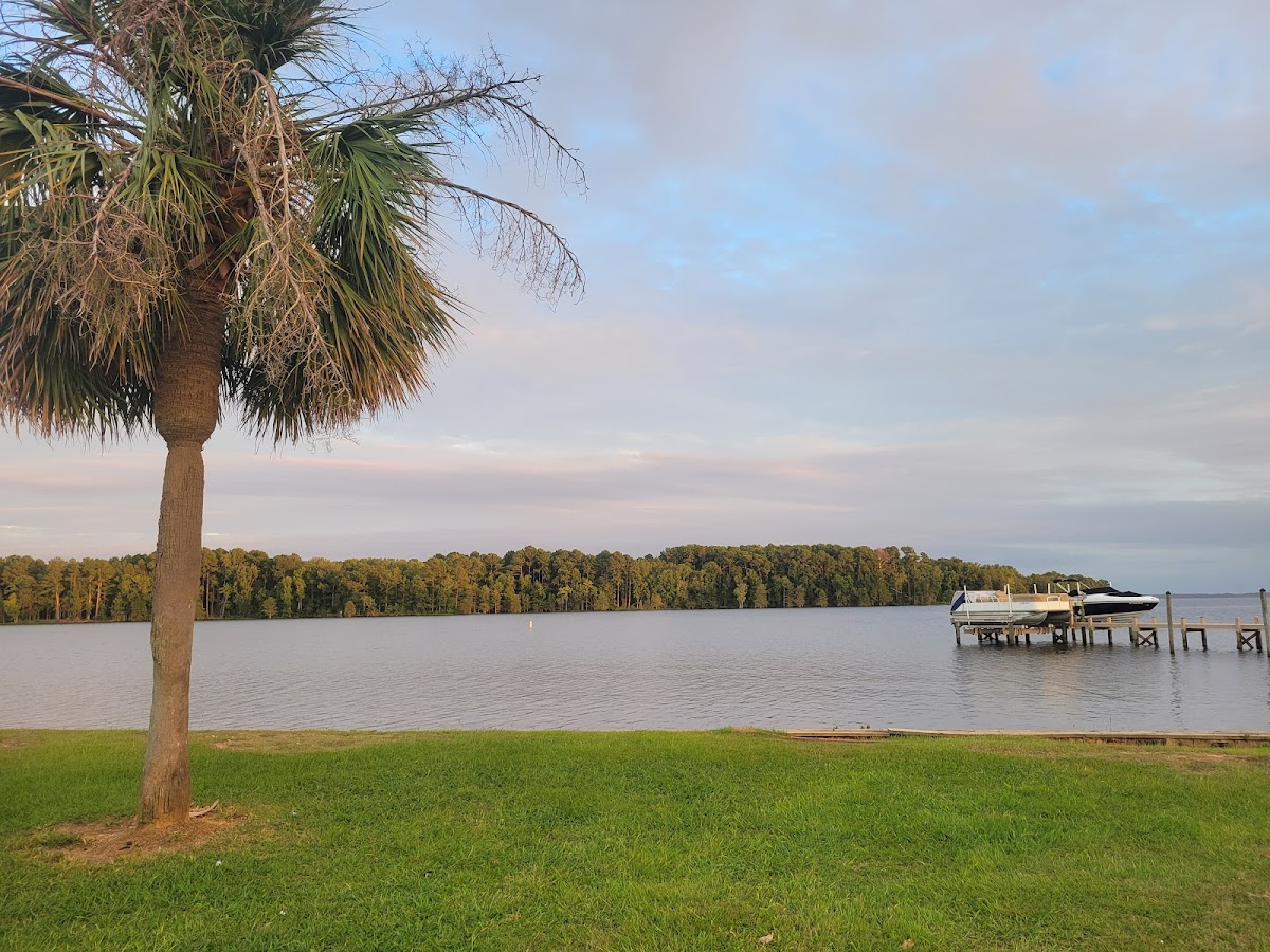 Goat Island Restaurant - Photo 4