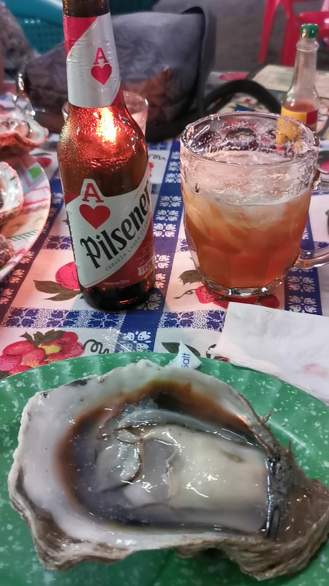Ostrero Chepe Aleta - Photo 1