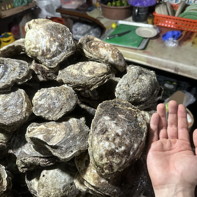 Oysters
