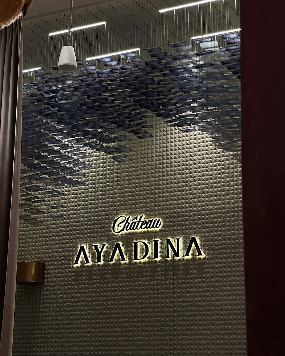 Chateau Ayadina - New Cairo - Photo 3