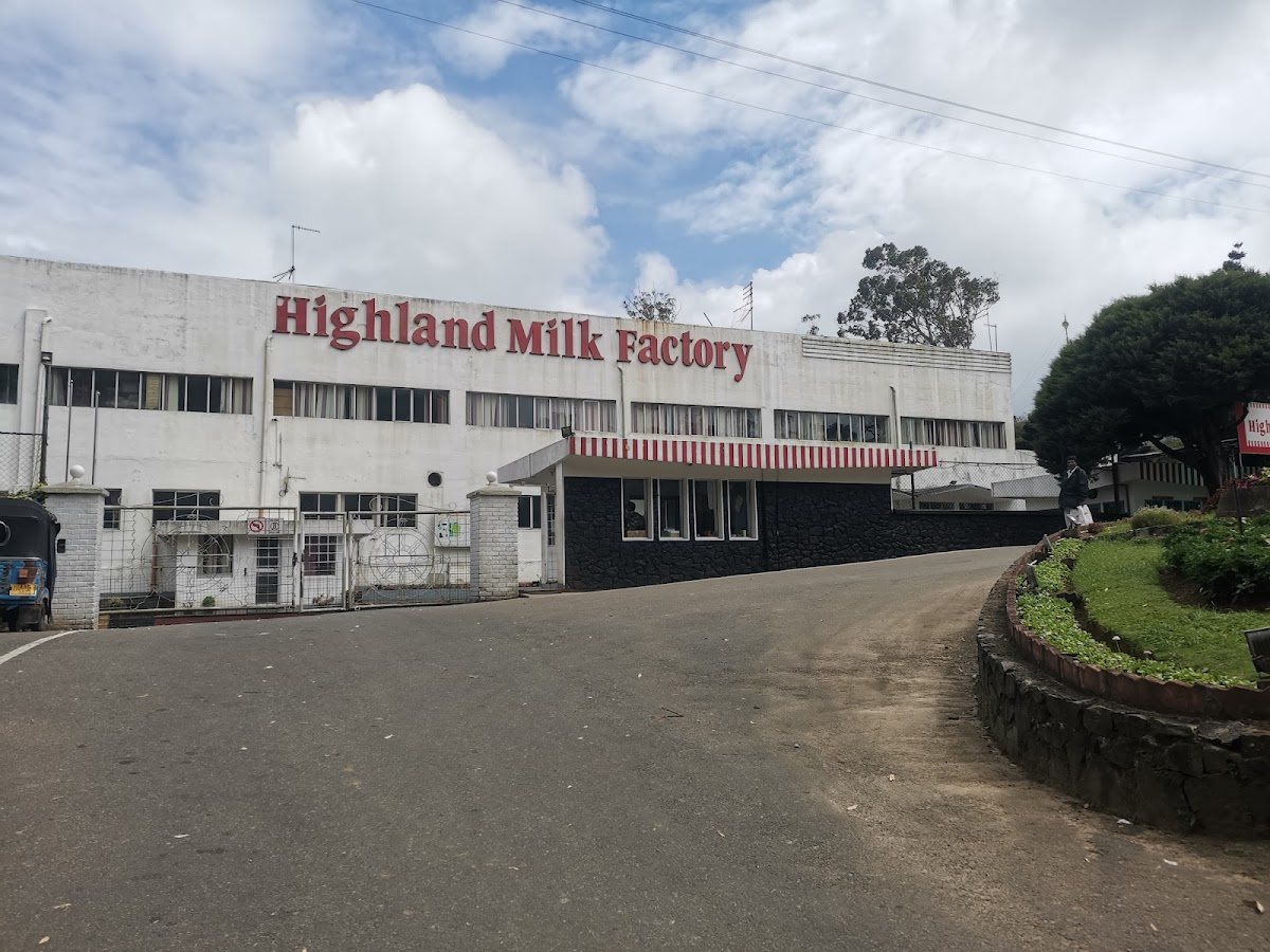 Highland Factory Milk Bar - Photo 2