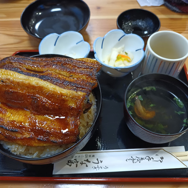 うな丼 特上 ご飯大盛