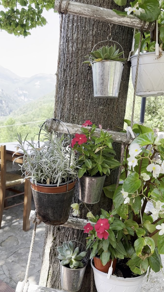 La Taverna Del Bordone - Photo 1