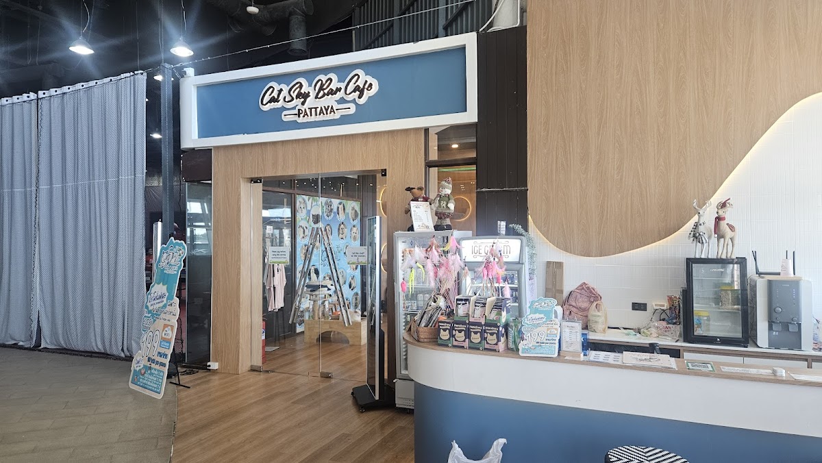 Cat Sky Bar Cafe - Photo 4