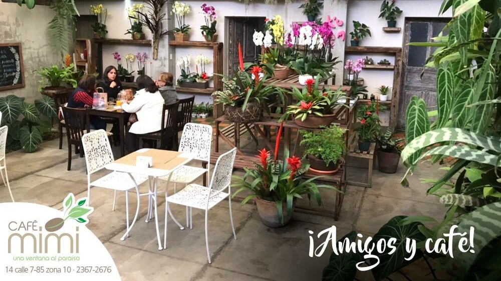 Cafe Mimi
