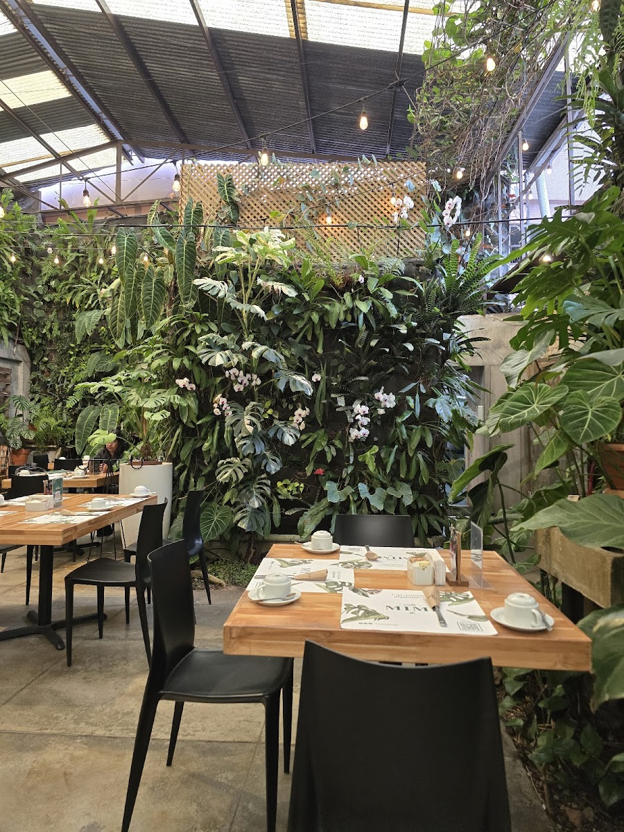 Cafe Mimi - Photo 2