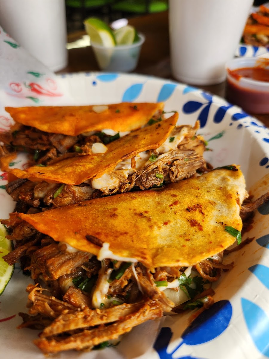 Taqueria La Monarca - Photo 2