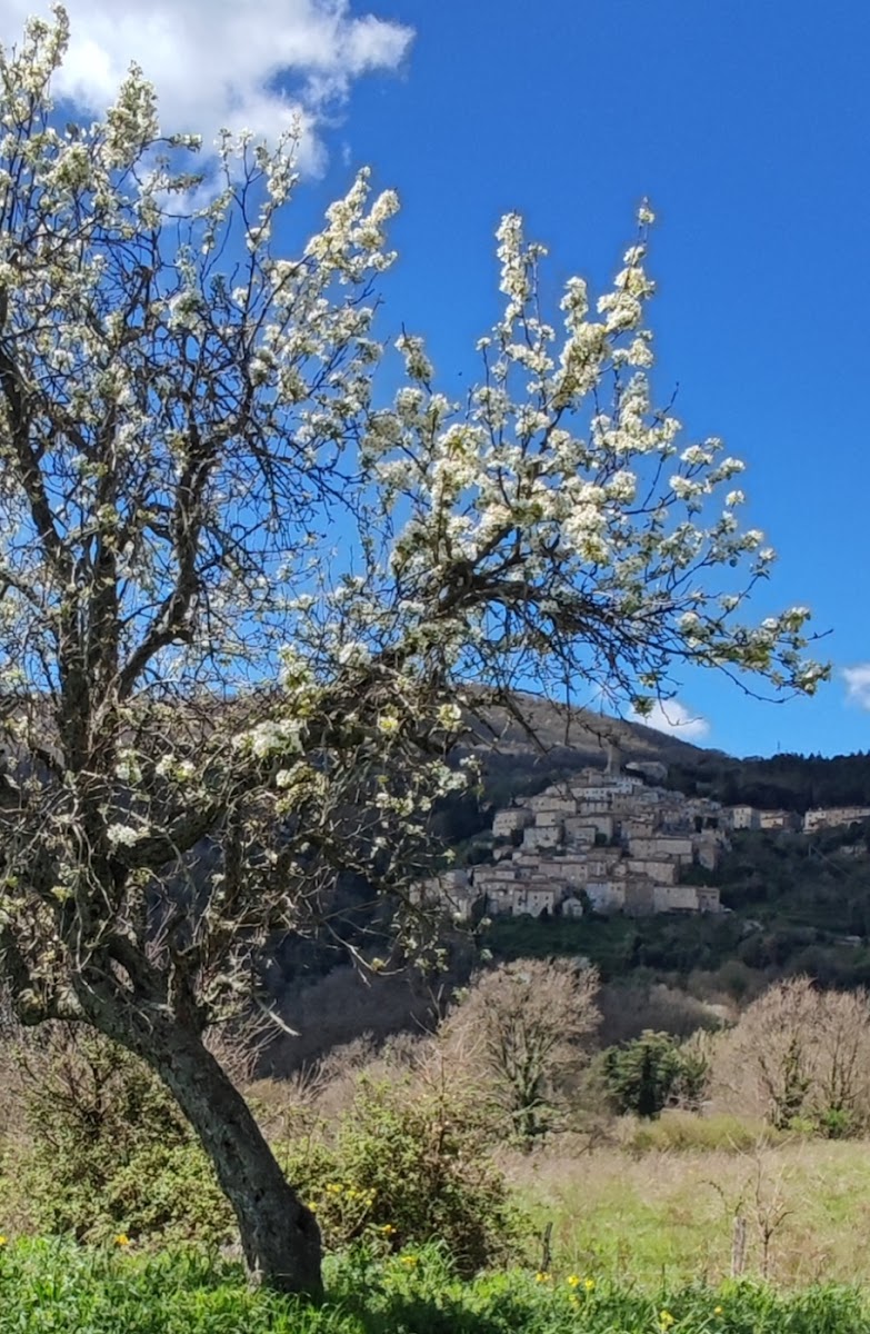 Calaferne Agriristoro - Photo 3