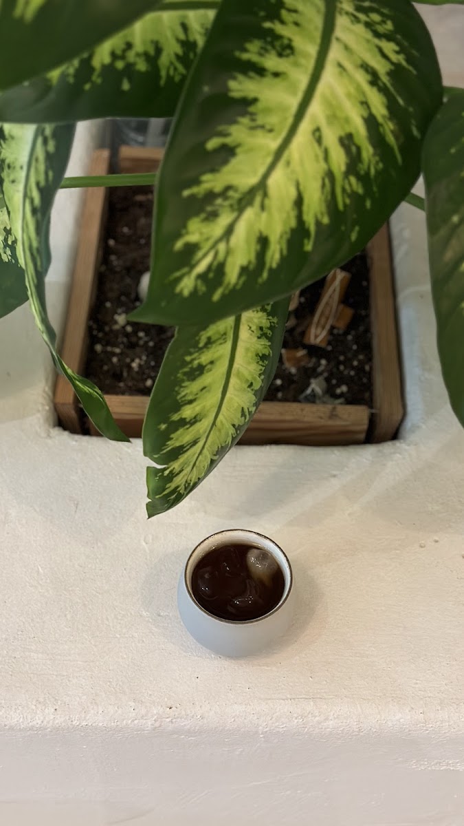 Qaha Specialty Coffee قها كافيه - فرع بوشر - Photo 6