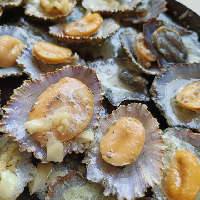 Limpets