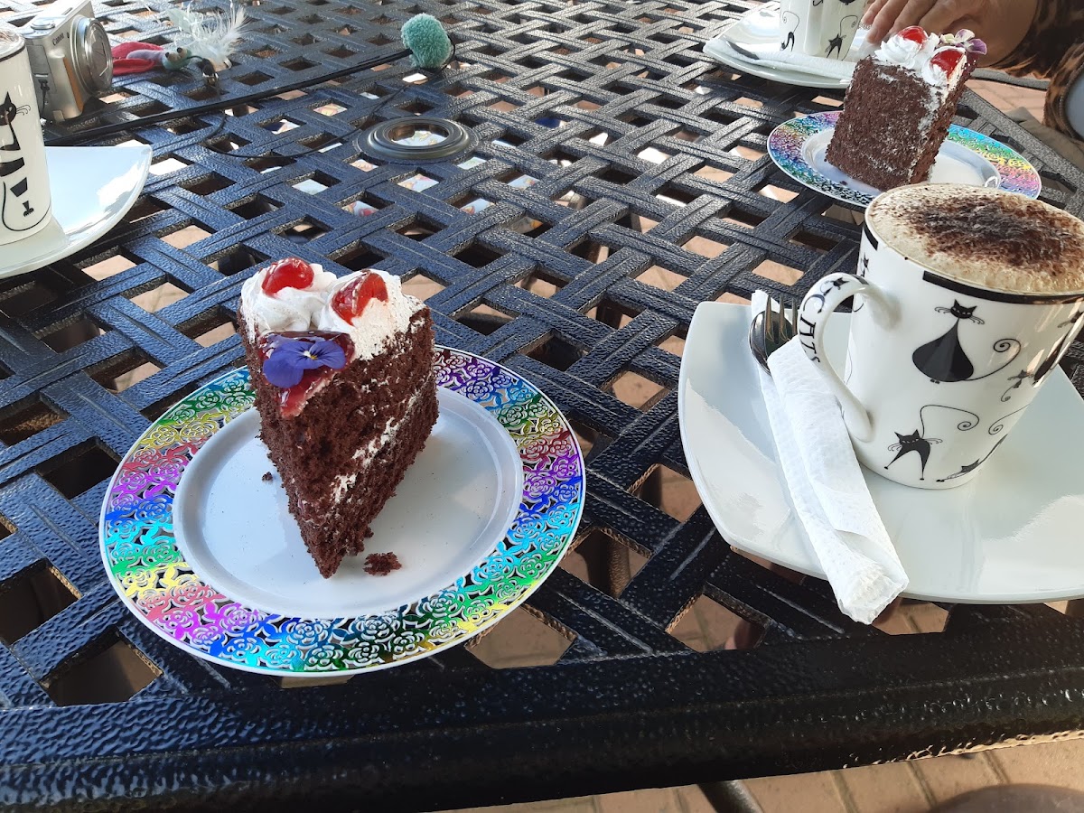 Cat Cafe South Africa - Photo 2