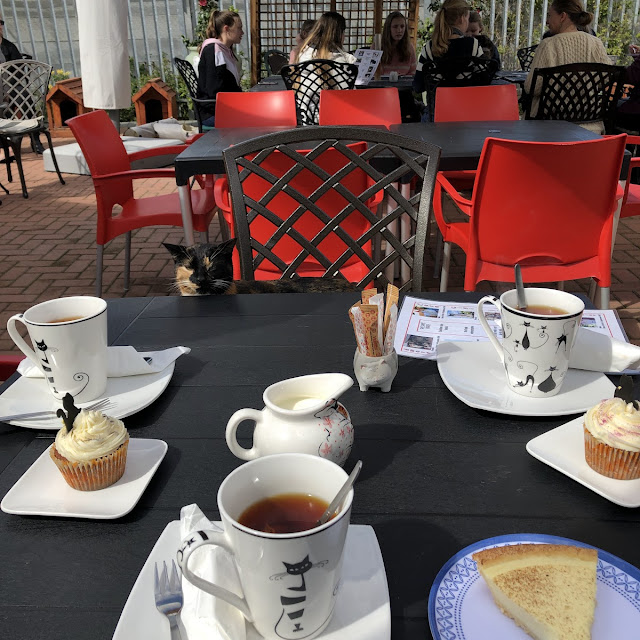 Tea
