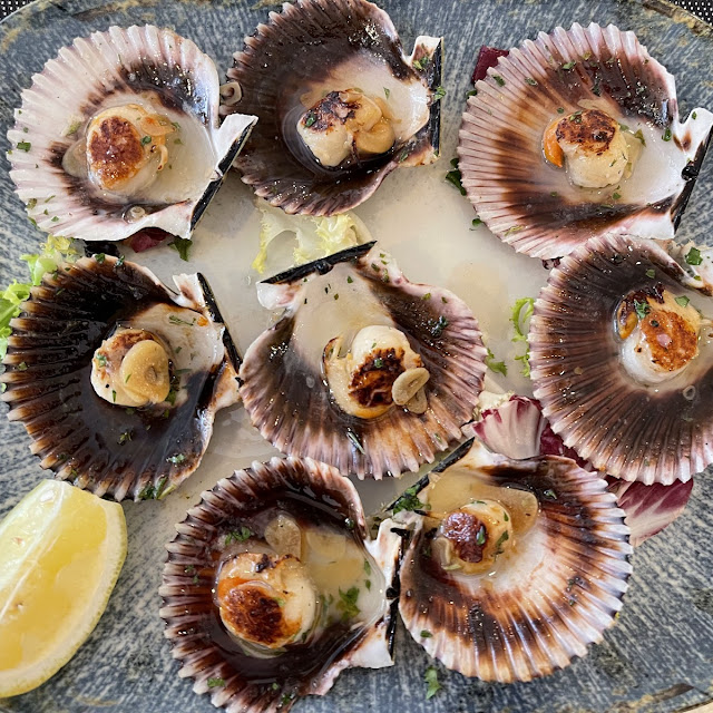 Scallops