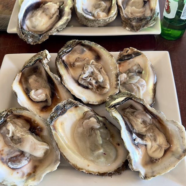 Oysters on the Half Shell