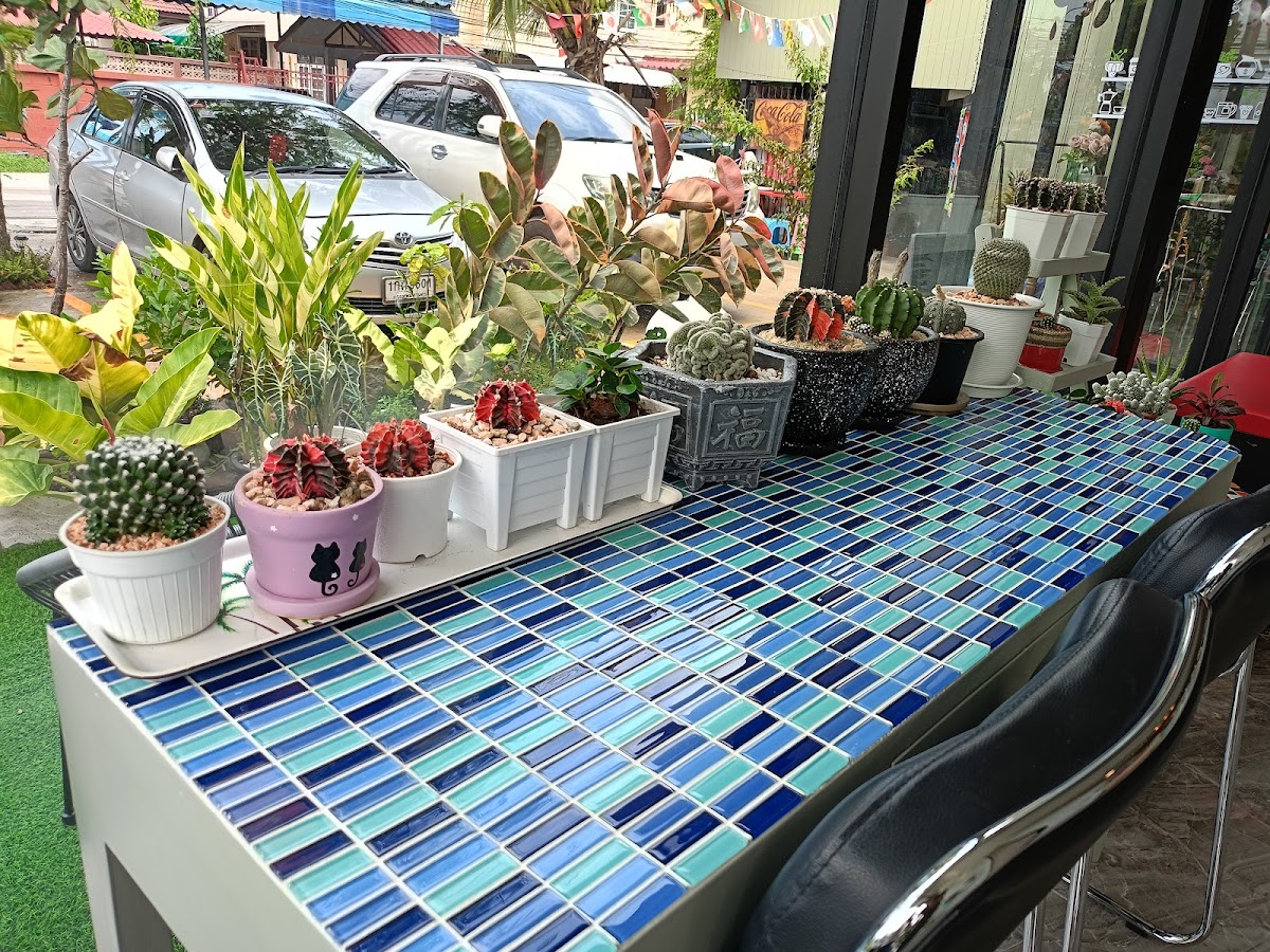 Coconut Cafe