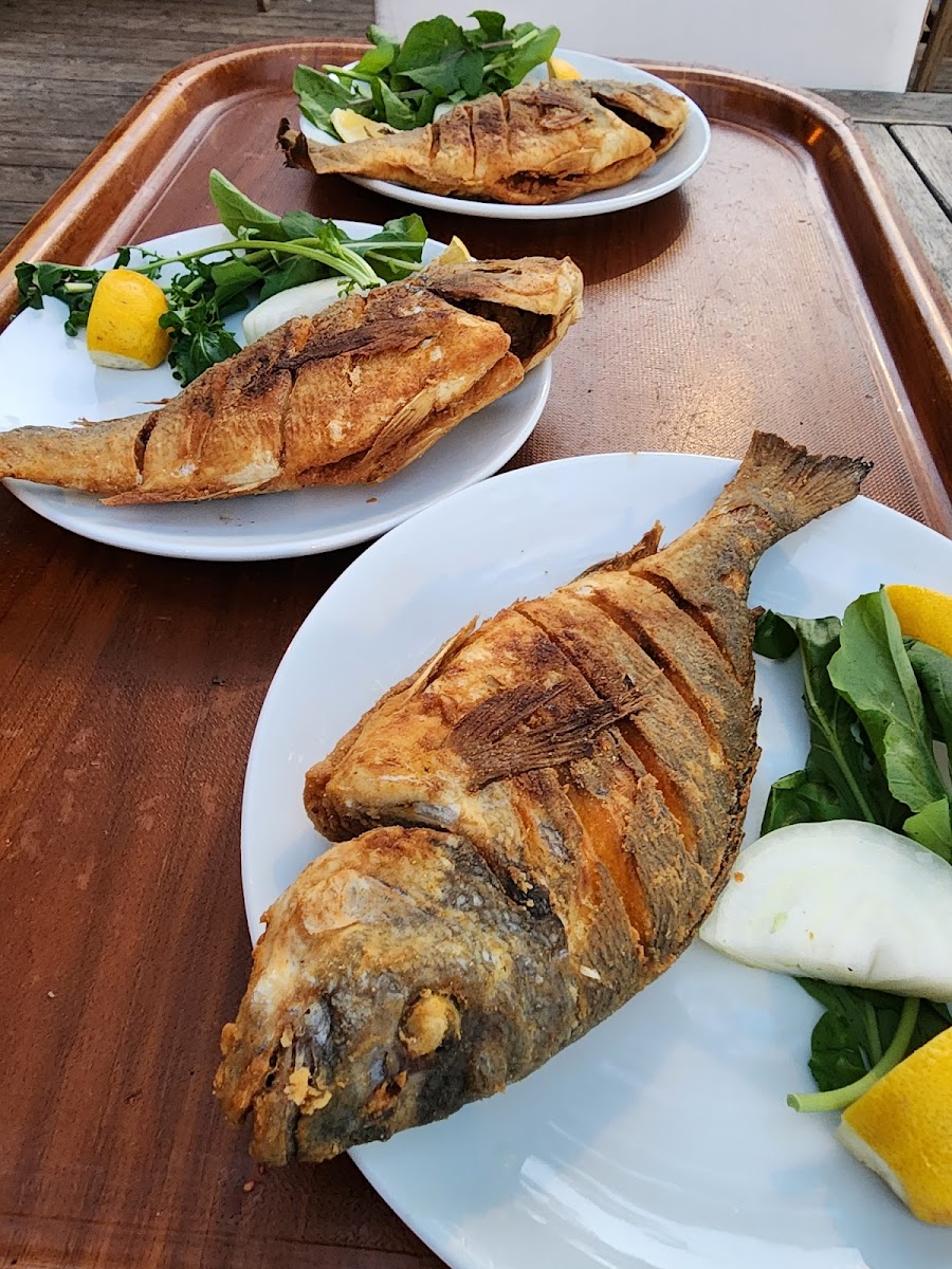 Sarsala Küçük Restaurant - Photo 4