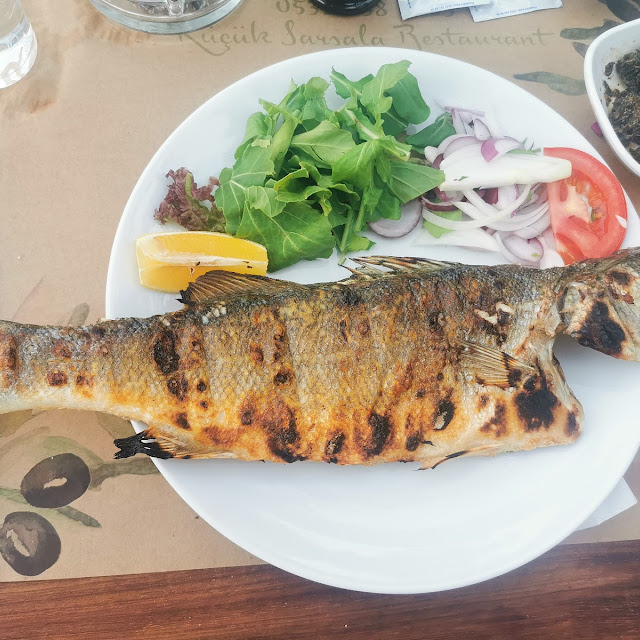 Grilled Fish