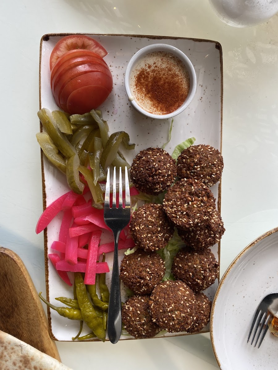 Zeit with Zaytoon - Photo 6