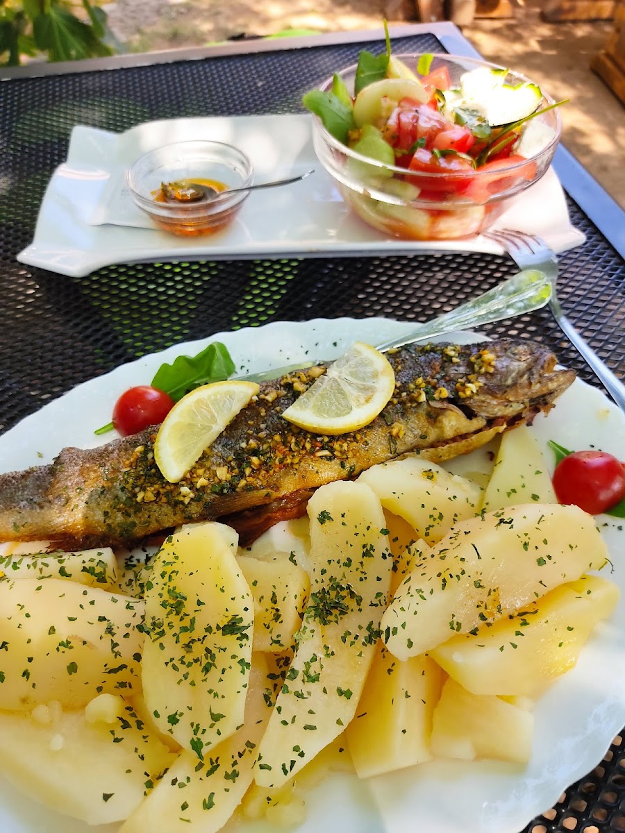 Restaurant 'Slapovi Zrmanje' - Photo 7