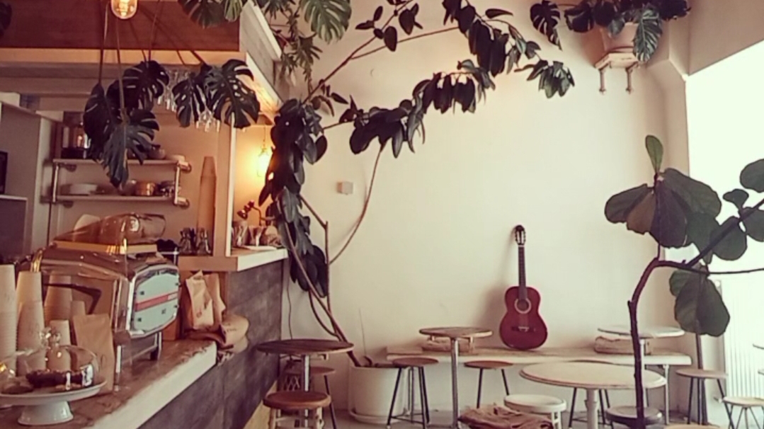 Bio Cafe Blutezeit