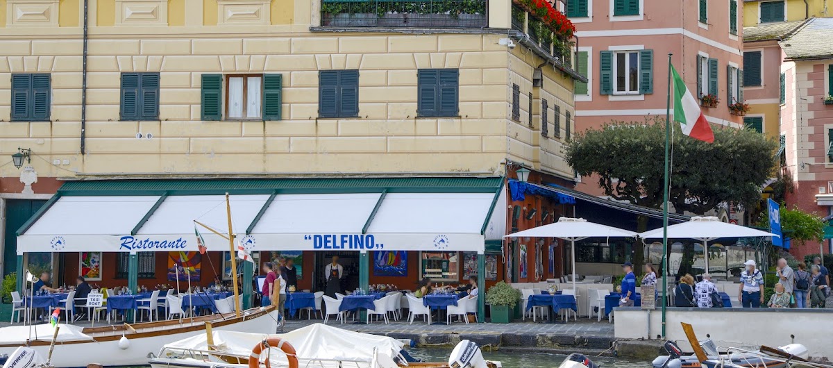 Delfino