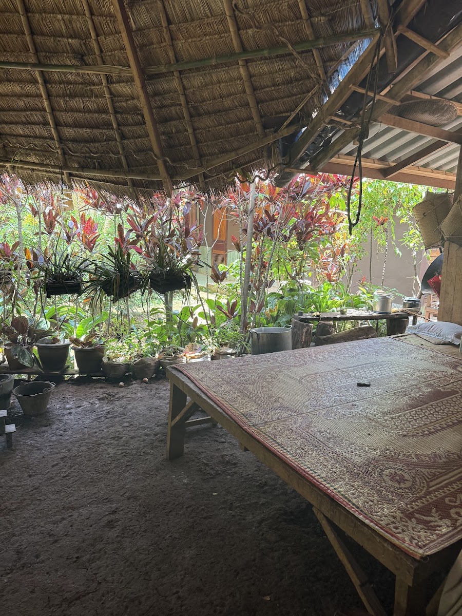 Mr Vieng Coffee homestay