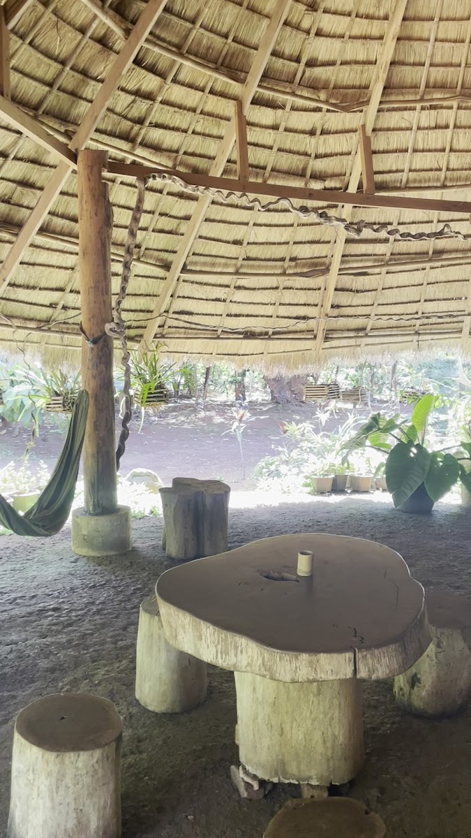 Mr Vieng Coffee homestay - Photo 1