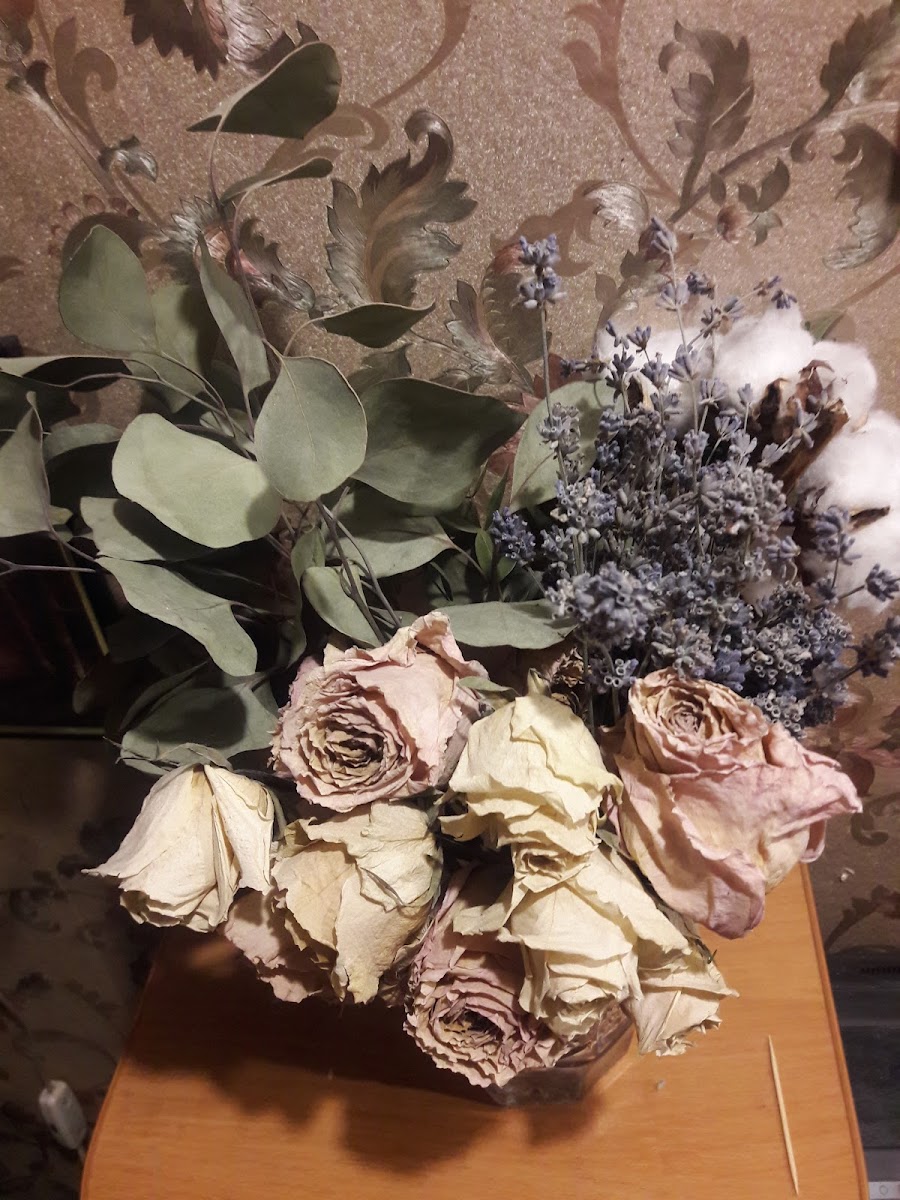 Кафе Porter House - Photo 2