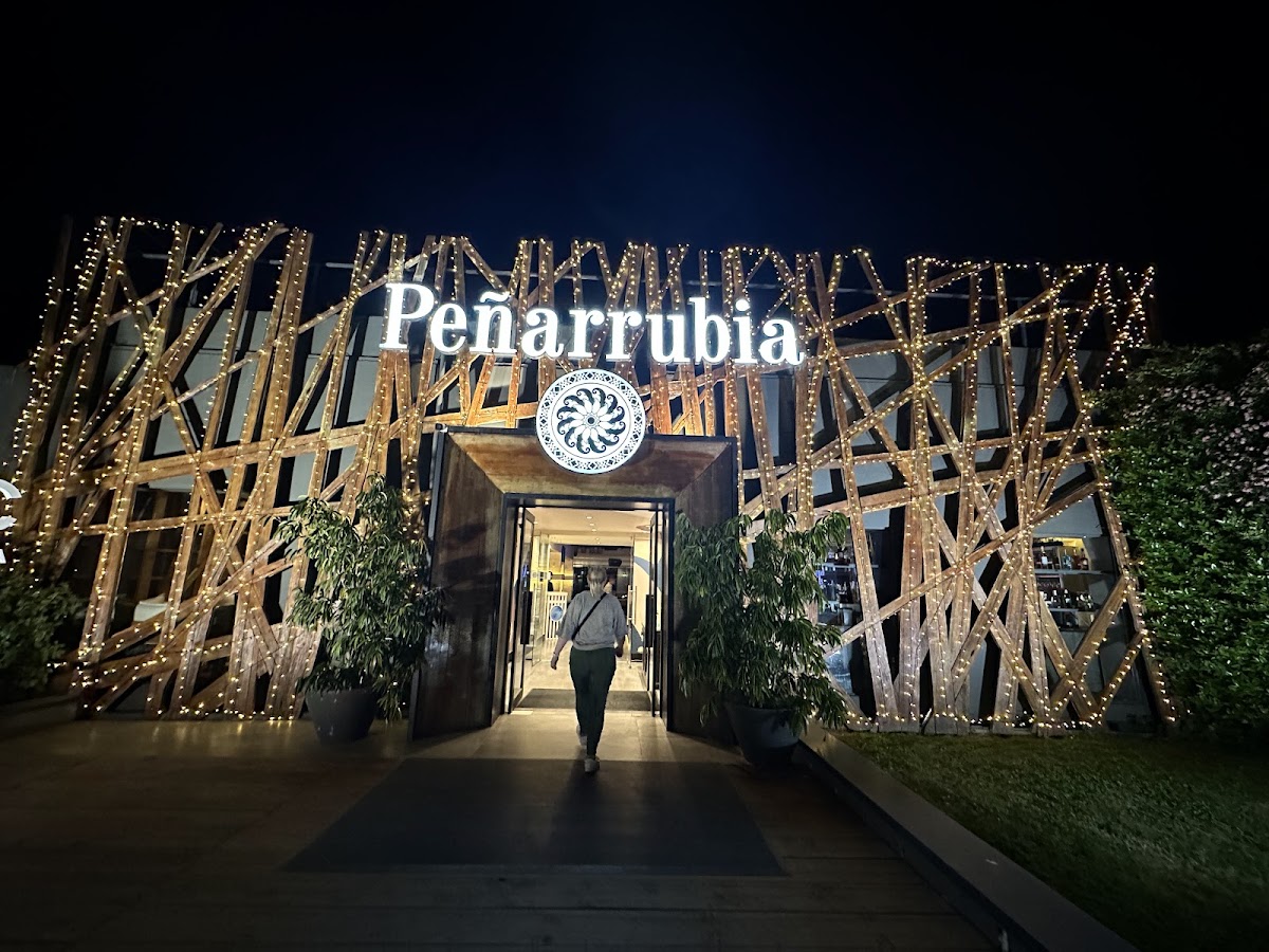 Penarrubia Lounge - Photo 4