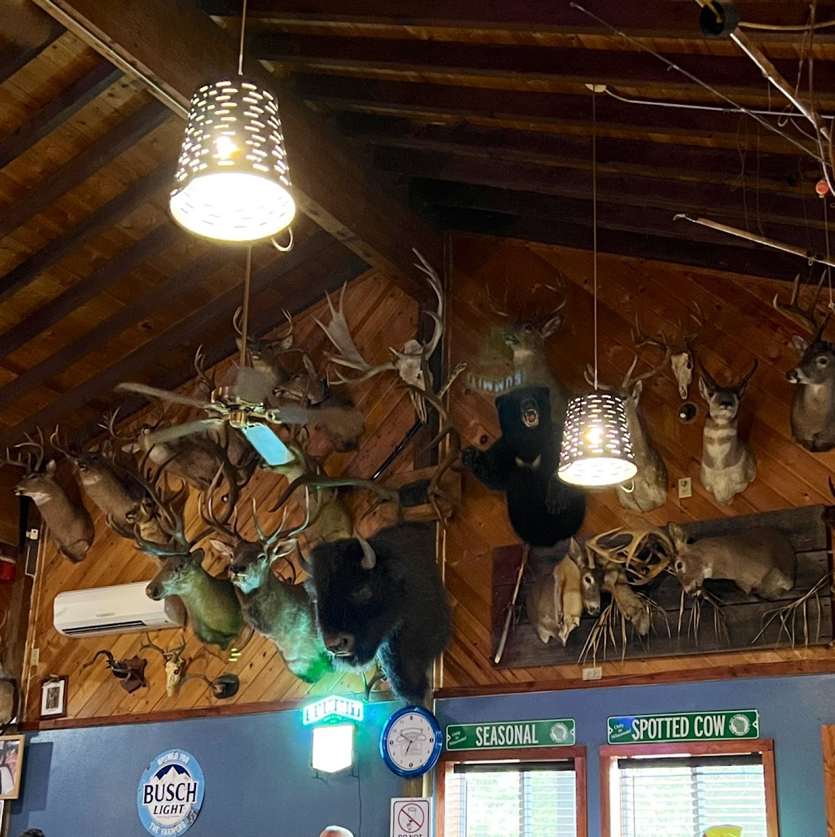 Circle Pines Bar/Grill & Motel - Photo 6