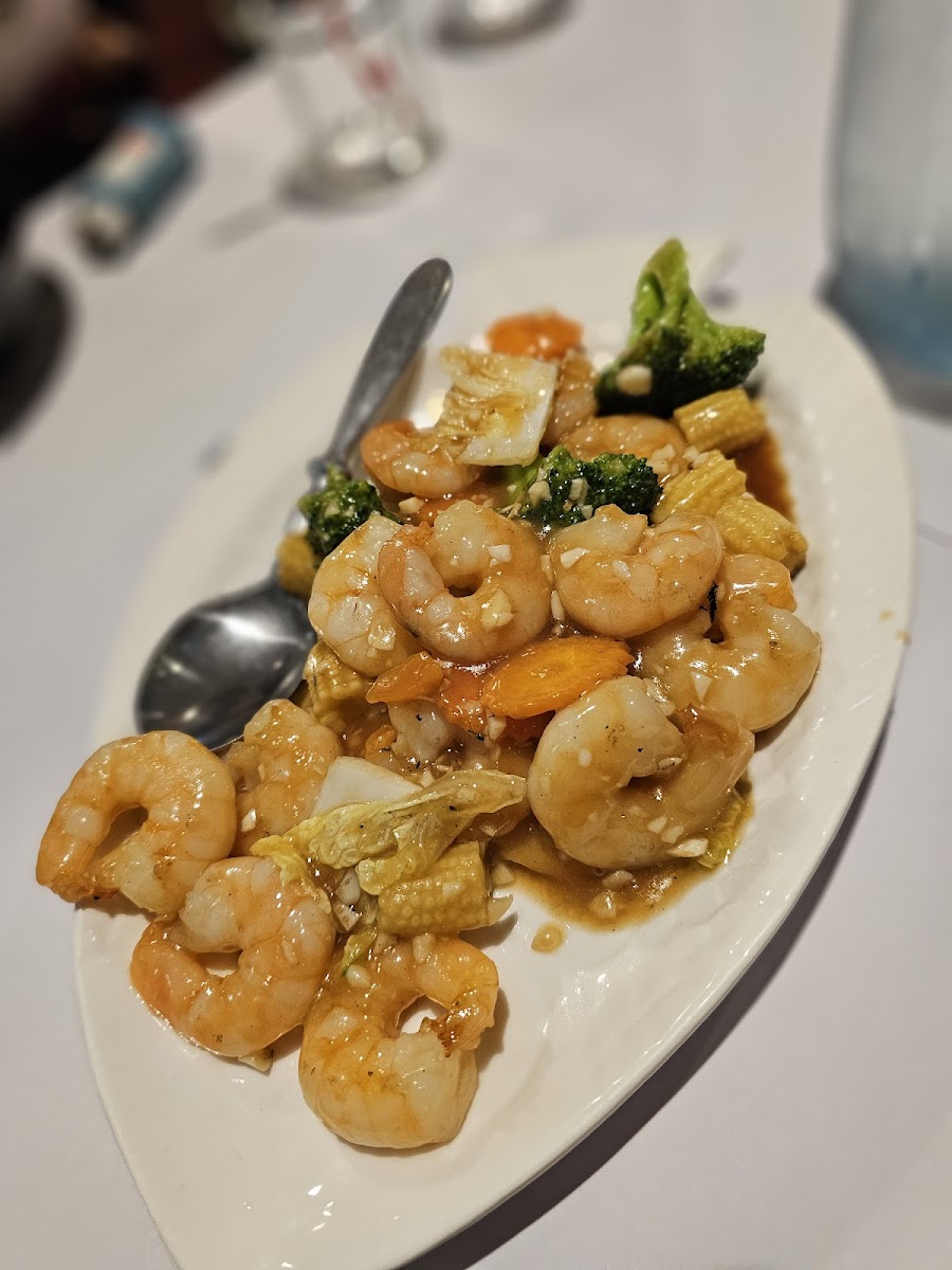 New Oriental Chinese Restaurant - Photo 5
