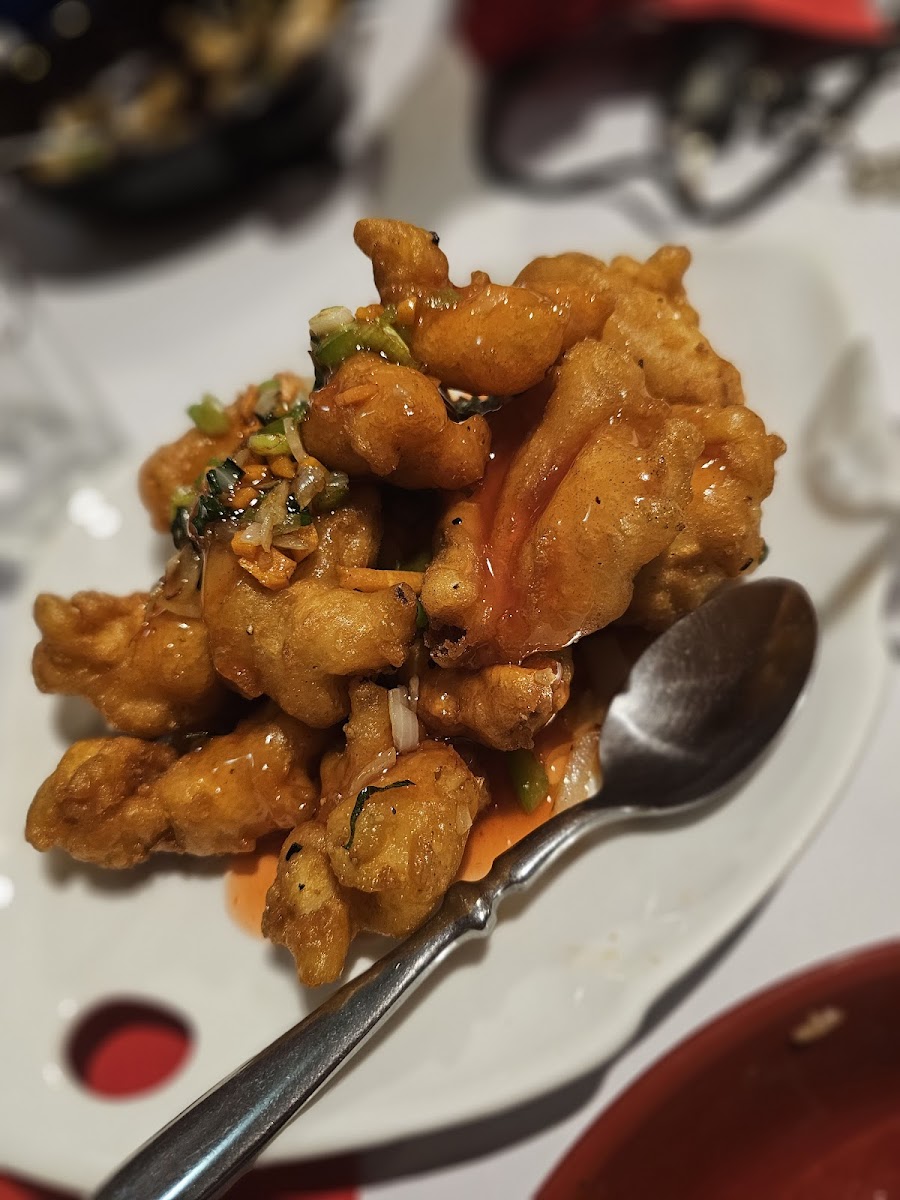 New Oriental Chinese Restaurant - Photo 6