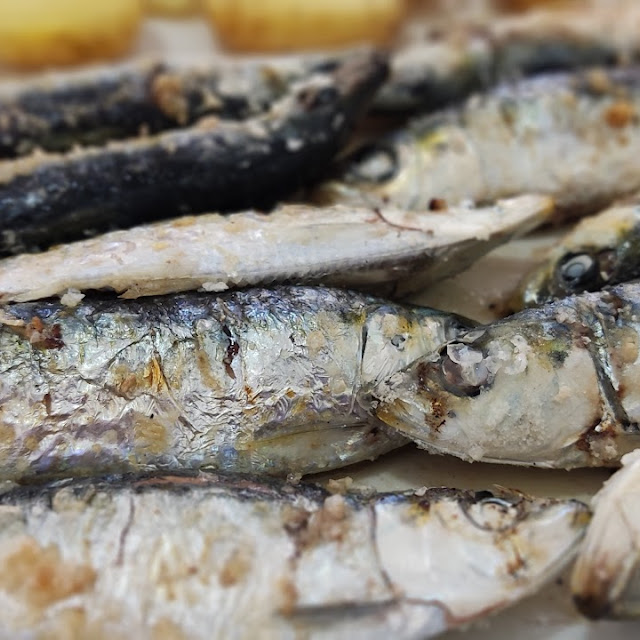 Sardinhas
