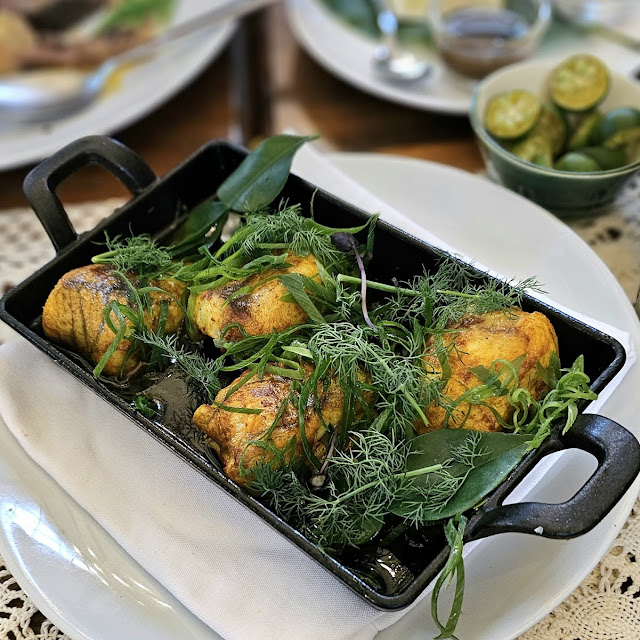 Yellow Ginger Fish