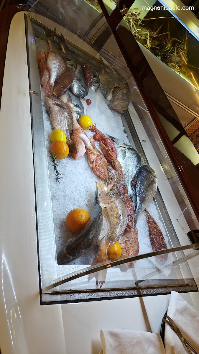 Ristorante di Pesce Nautilus - Photo 8