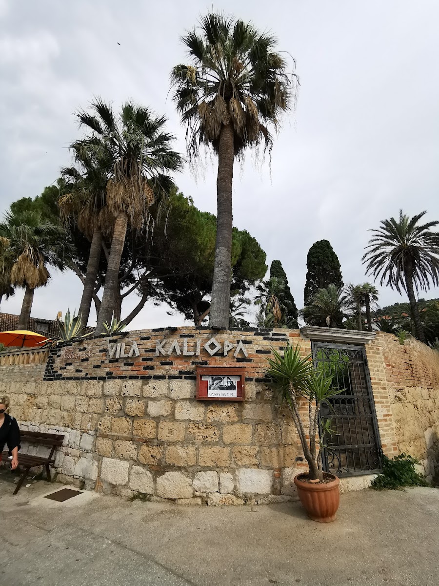 Restaurant Villa Kaliopa - Photo 4