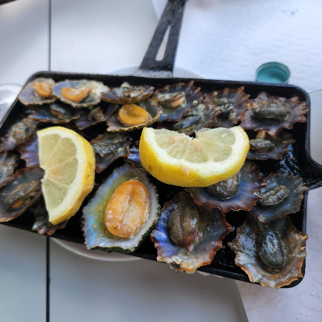 Limpets a Local Delicacy Similar to Snails or Mussels